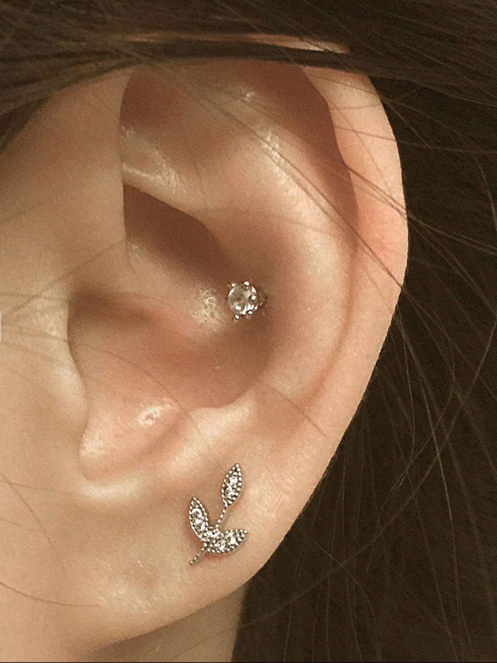 Leaf Surgical Steel Earring Piercing